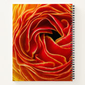 Macro Bloem | Bloemvelden Carlsbad, CA Notitieboek (Achterkant)