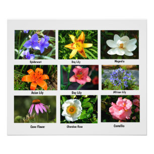 Macro bloemen foto vergroting afdruk