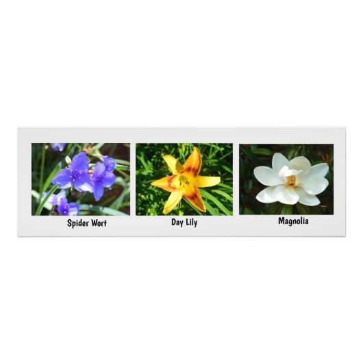 Macro bloemen foto vergroting afdruk (Voorkant)