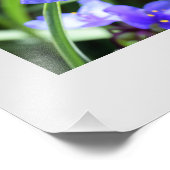 Macro bloemen foto vergroting afdruk (Hoek)