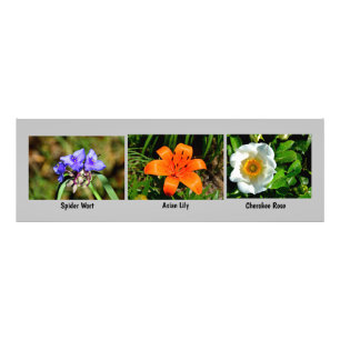 Macro bloemen foto vergroting afdruk