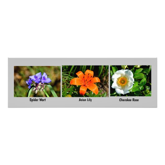 Macro bloemen foto vergroting afdruk (Voorkant)