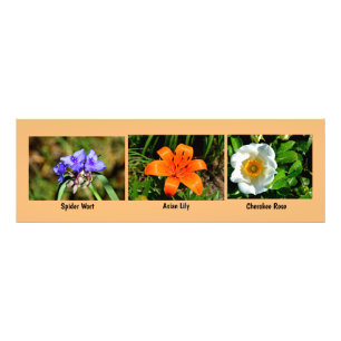 Macro bloemen foto vergroting afdruk