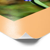 Macro bloemen foto vergroting foto afdruk (Hoek)