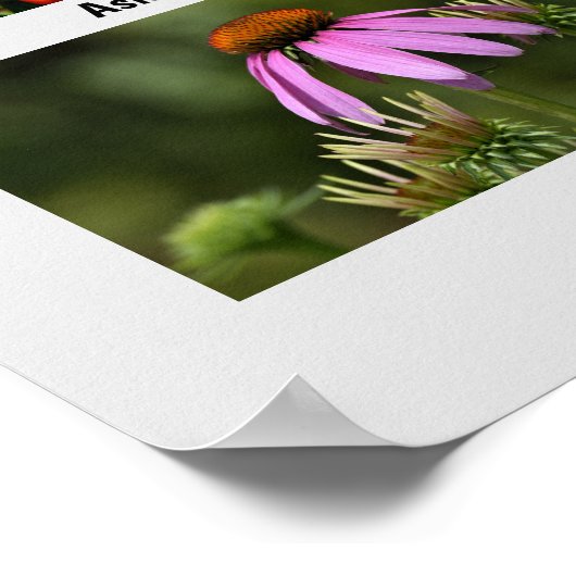 Macro bloemen poster (Hoek)