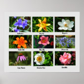 Macro bloemen poster (Voorkant)