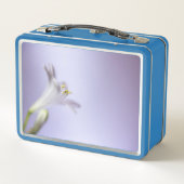 Macro Blossom Bloom Petals kopieerruimte aanvullen (Achterkant)