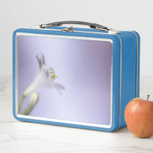 Macro Blossom Bloom Petals kopieerruimte aanvullen