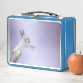 Macro Blossom Bloom Petals kopieerruimte aanvullen