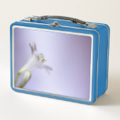 Macro Blossom Bloom Petals kopieerruimte aanvullen (Voorkant)