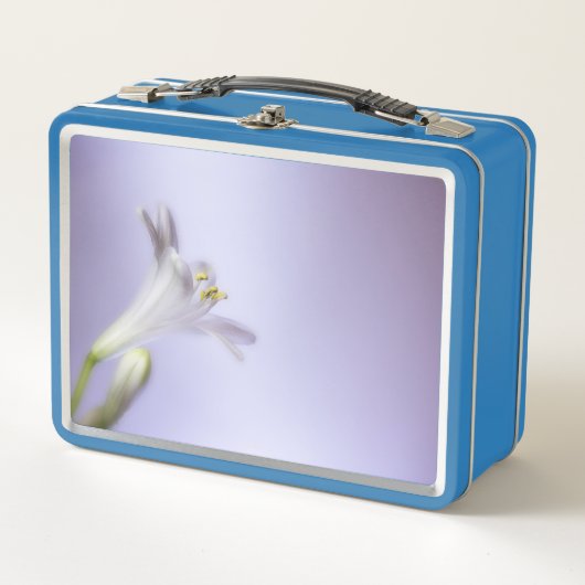 Macro Blossom Bloom Petals kopieerruimte aanvullen (Voorkant)