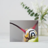 Macro-Briefkaart van de derde pijler Briefkaart (Staand voorkant)