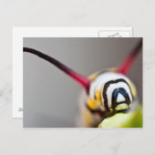 Macro-Briefkaart van de derde pijler Briefkaart (Voorkant / Achterkant)