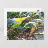 Macro-Briefkaart van Spider Webs Briefkaart (Voorkant / Achterkant)