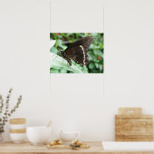 Macro Butterfly Print (Keuken)