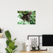 Macro Butterfly Print (Thuiskantoor)