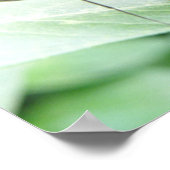Macro Butterfly Print (Hoek)