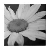 Macro Daisy Black en White Flower Tile Tegeltje (Voorkant)