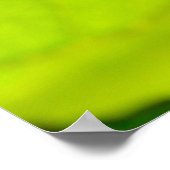 Macro damselfly op blad poster (Hoek)