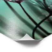 Macro Dandelion Seeds Water druppelt foto Afdruk (Hoek)