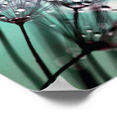 Macro Dandelion Seeds Water druppelt foto Poster (Hoek)