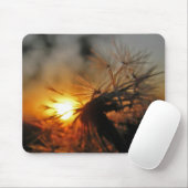 Macro Dandelion Sunset Mousepad Muismat (Met muis)