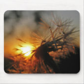 Macro Dandelion Sunset Mousepad Muismat (Voorkant)