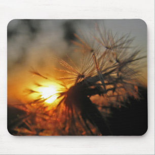 Macro Dandelion Sunset Mousepad Muismat