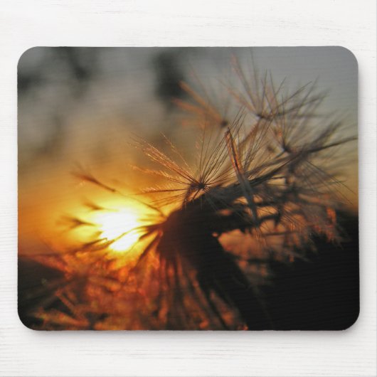 Macro Dandelion Sunset Mousepad Muismat (Voorkant)