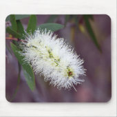 Macro foto plant op een mousepad muismat (Voorkant)