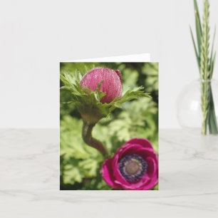 Macro foto unieke vet roze bloem op blanco kaart