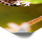 Macro foto van een honingbij poster (Hoek)