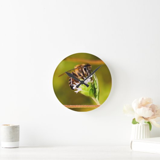 Macro foto van een honingbij ronde klok (Huis)