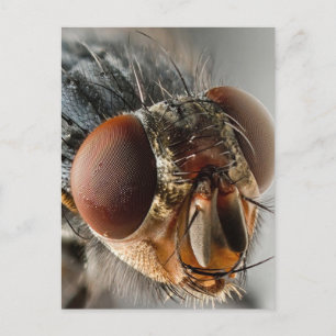 Macro foto van een vlieg briefkaart