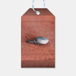 Macro-foto van slak op terracotta cadeaulabel