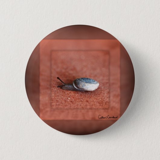 Macro-foto van slak op terracotta ronde button 5,7 cm (Voorkant)