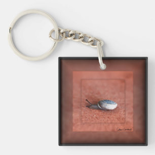 Macro-foto van slak op terracotta sleutelhanger
