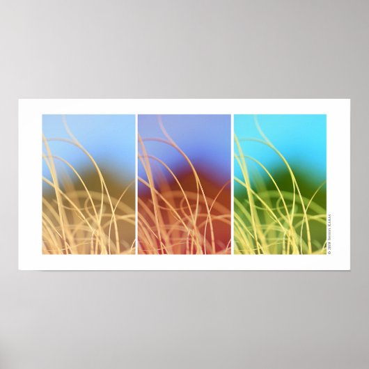 Macro Grass Trio Poster (Voorkant)