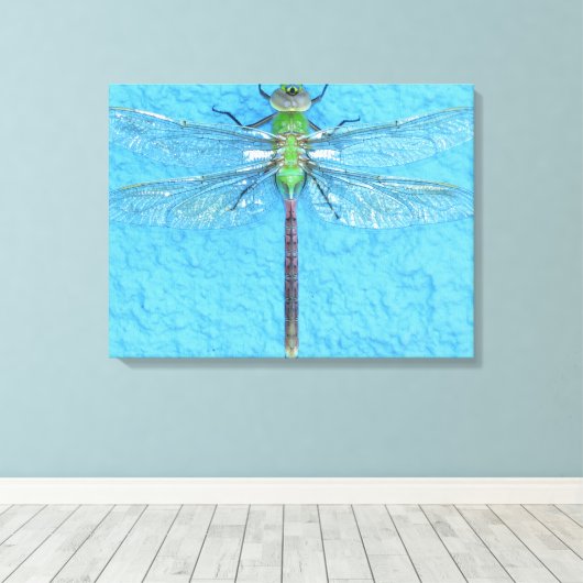 Macro Green Dragonfly op blauwe achtergrond Canvas Afdruk (Insitu (Houten vloer))