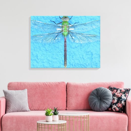Macro Green Dragonfly op blauwe achtergrond Canvas Afdruk (Insitu (Woonkamer))