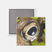 Macro; Horizontaal; Kleur; Kleur; Niemand Magneet (Voorkant / Achterkant)