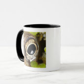Macro; Horizontaal; kleur; Kleur; Niemand Mok (Voorkant links)