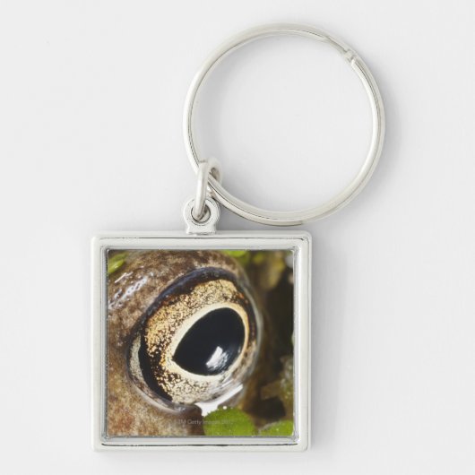 Macro; Horizontaal; kleur; Kleur; Niemand Sleutelhanger (Voorkant)