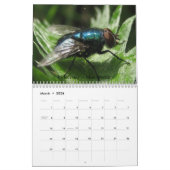 Macro Insects Agenda Kalender (Mar 2026)
