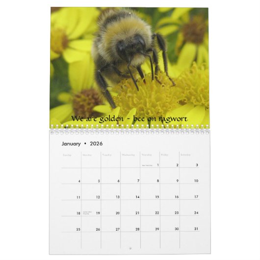 Macro Insects Agenda Kalender (Jan 2026)