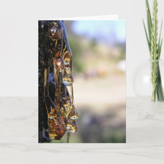 Macro: Kaart voor vloeibare ruitjes met boomsap (Voorkant)