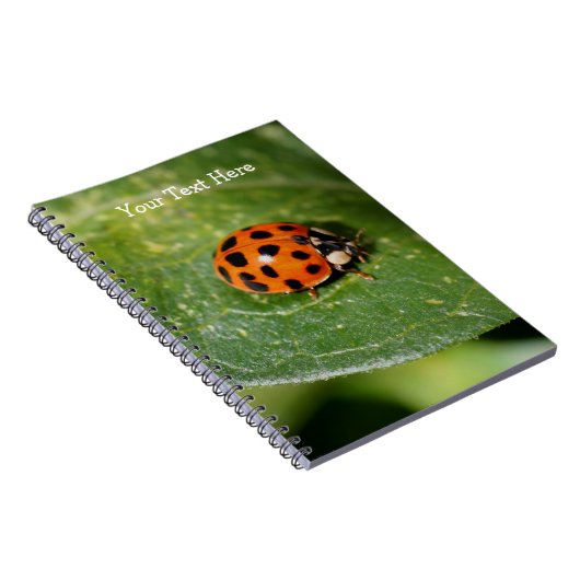 Macro Ladybug Natuur Notitieboek (Rechterzijde)