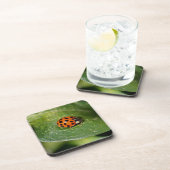 Macro Ladybug Natuur Onderzetter instellen (Rechterzijde)