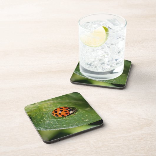 Macro Ladybug Natuur Onderzetter instellen (Rechterzijde)