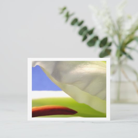 Macro Lily II Briefkaart (Staand voorkant)